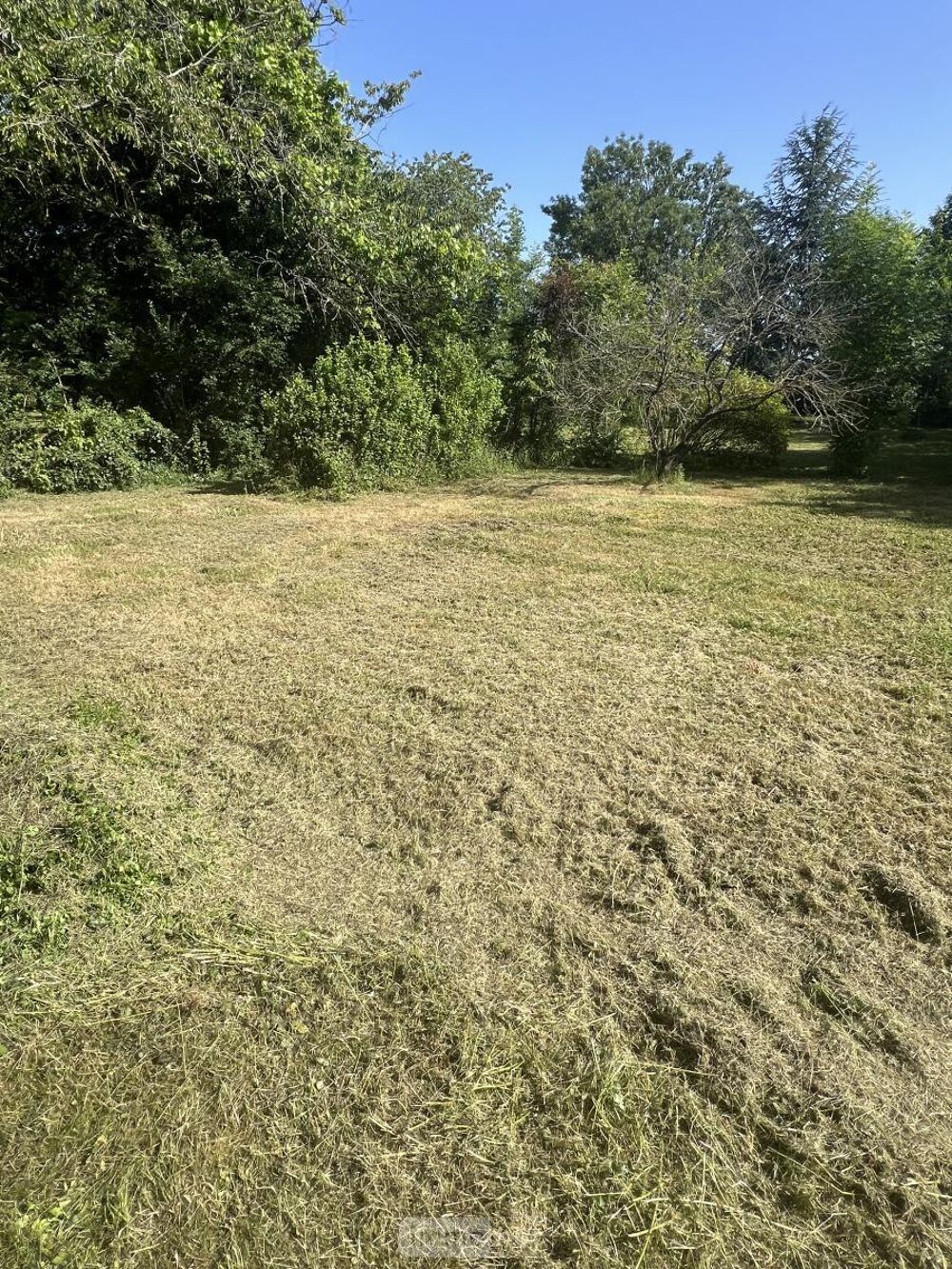 vente Terrain - 1031 m² Beauce la romaine (41240)