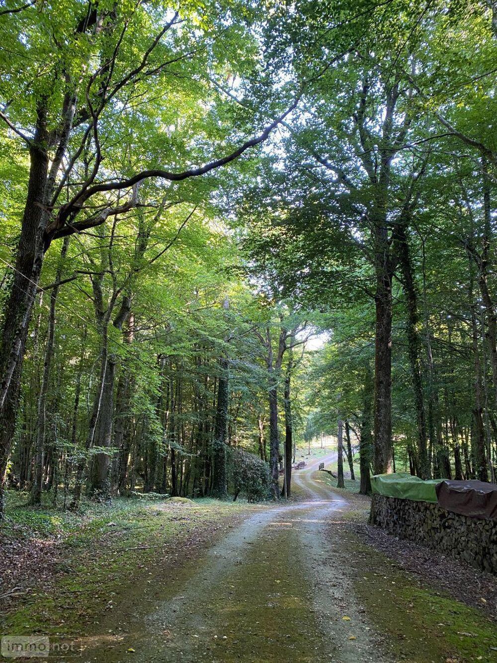  vendre  Maison Chtillon-sur-Indre (36700)