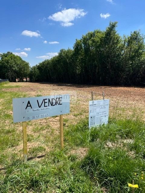 Image Annonce