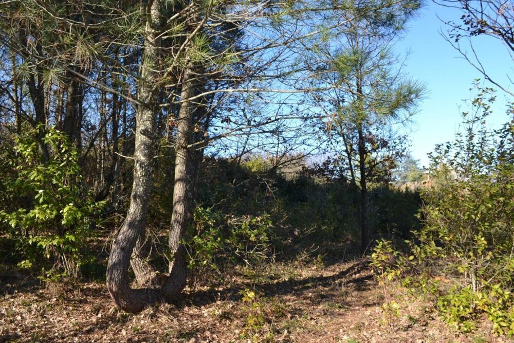 vente Terrain - 1239 m� Saint-�tienne-de-Fontbellon (07200)