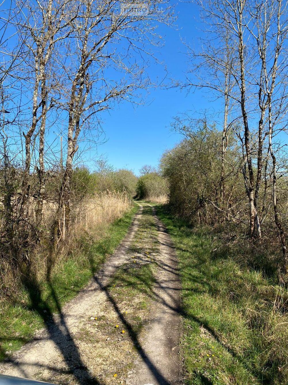 � vendre  Propri�t�/ch�teau Ling� (36220)