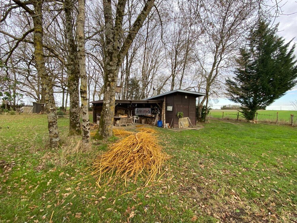 vente Terrain - 4000 m² Buzançais (36500)