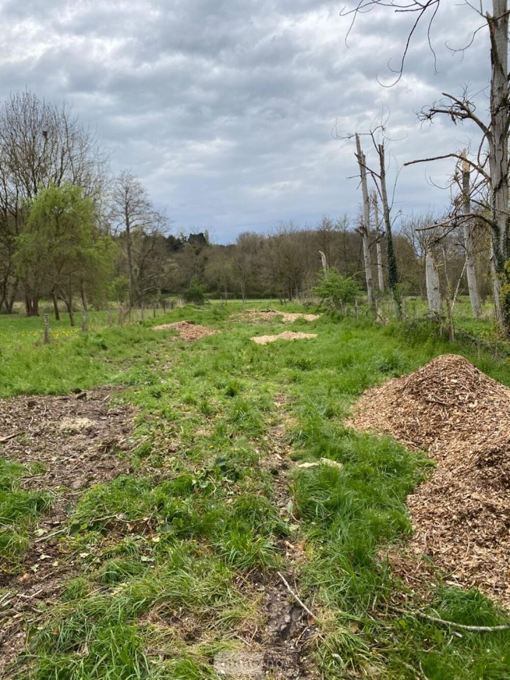 vente Terrain - 667 m² Bossay-sur-Claise (37290)