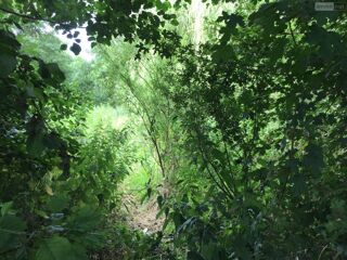  Terrain  vendre 18480 m