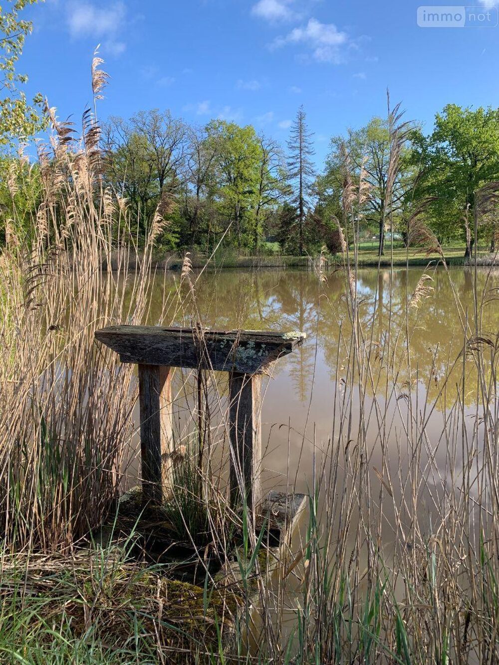 vente Autres - 11458 m² Mézières-en-Brenne (36290)