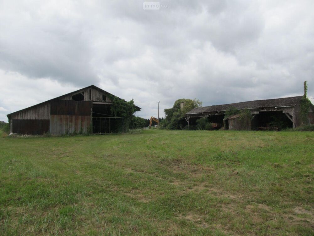 vente Terrain - 3500 m² Clion (36700)