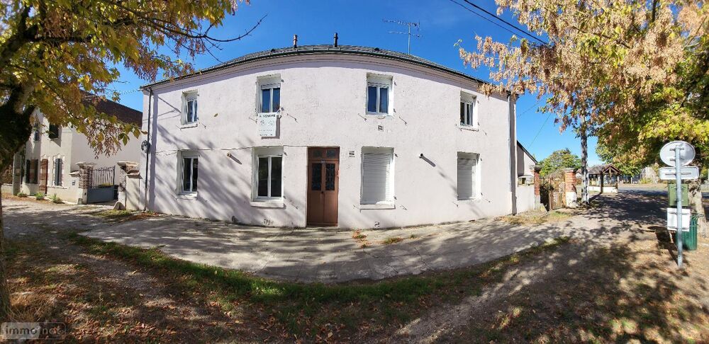 vente Immeuble - 4 pièce(s) - 165 m² Nogent-sur-Vernisson (45290)