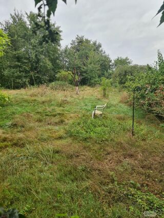  Maison à vendre 5 pièces 120 m²