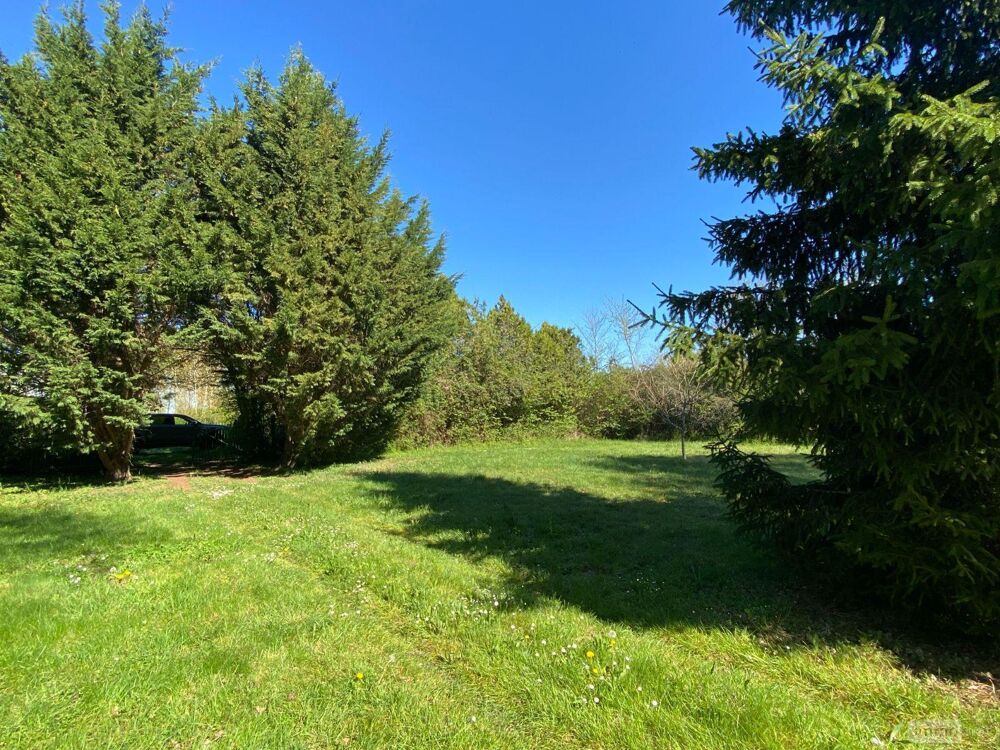vente Terrain - 7002 m² Saint-Genou (36500)