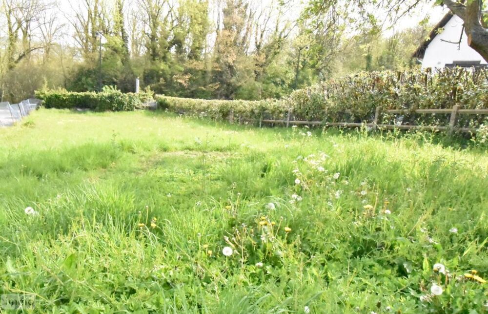 vente Terrain - 643 m² Eu (76260)