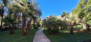  Appartement � vendre 1 pi�ce 16 m�