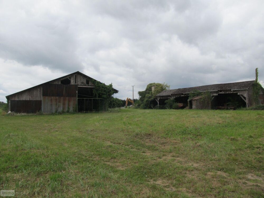 vente Terrain - 3500 m² Clion (36700)
