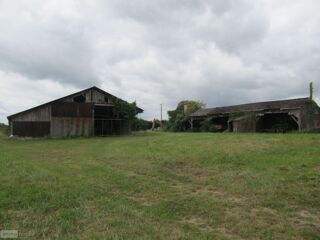  Terrain à vendre 3500 m²