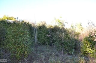  Terrain � vendre 1239 m�