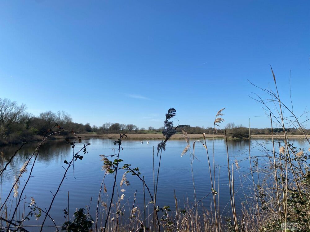 vente Autres - 139626 m² Lingé (36220)