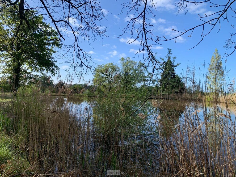 vente Autres - 11458 m² Mézières-en-Brenne (36290)