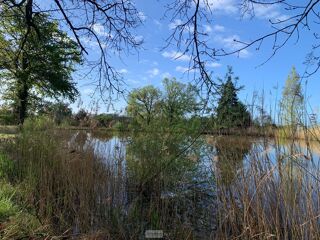 vente Autres - 11458 m² Mézières-en-Brenne (36290)