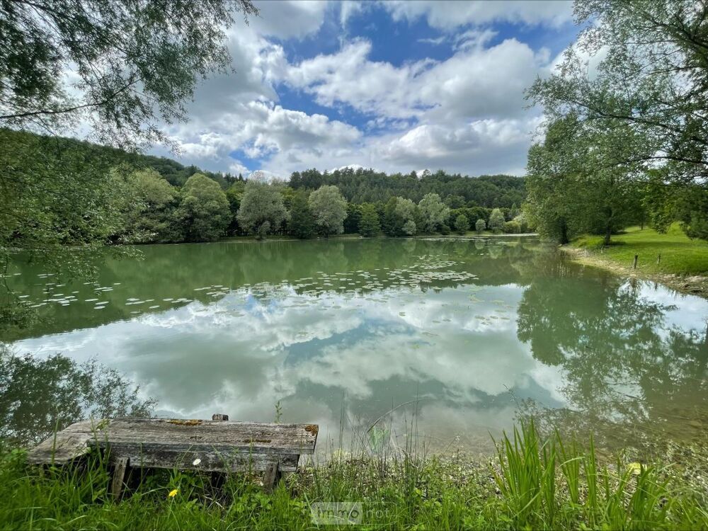 vente Autres - 128600 m² Aromas (39240)
