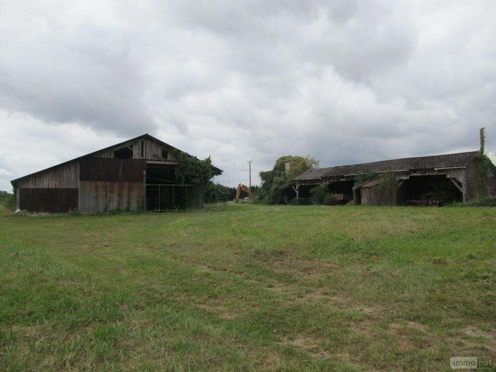 vente Terrain - 3500 m² Clion (36700)