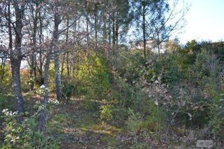  Terrain � vendre 1239 m�