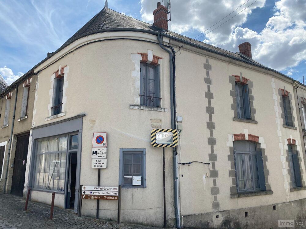 IMMOBILIER CHATILLON-SUR-INDRE (36700) Grande Maison de ....