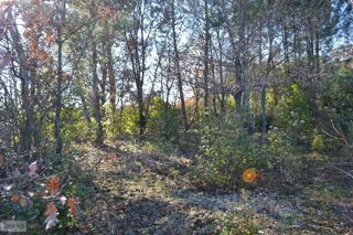  Terrain � vendre 1239 m�