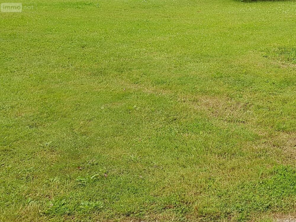 vente Terrain - 1831 m² Aubérive (51600)