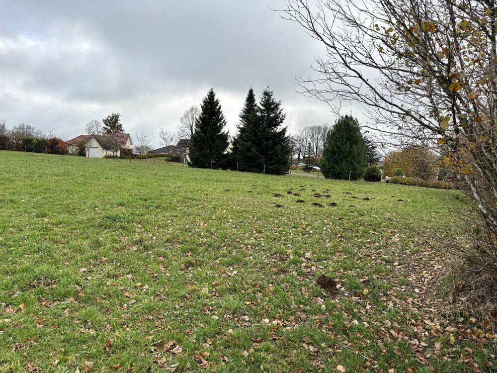 Vente Terrain Terrain constructible Saint cernin