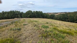  Terrain  vendre 38528 m