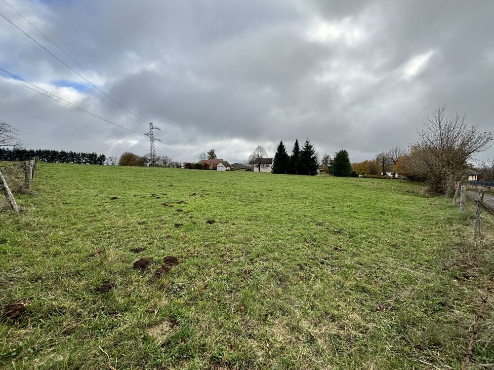 Vente Terrain Terrain constructible Saint cernin