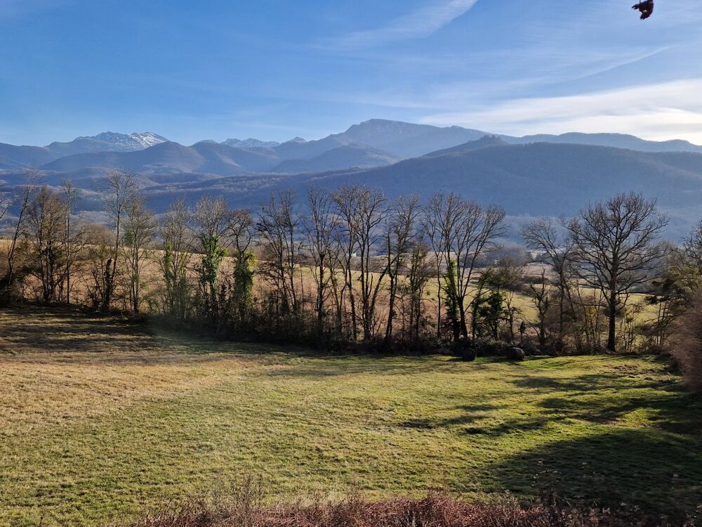 Vente Maison Proprit Leychert