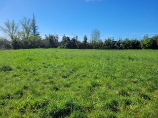  Terrain  vendre 1000 m