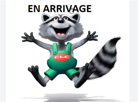   occasion 77400 Lagny-sur-Marne