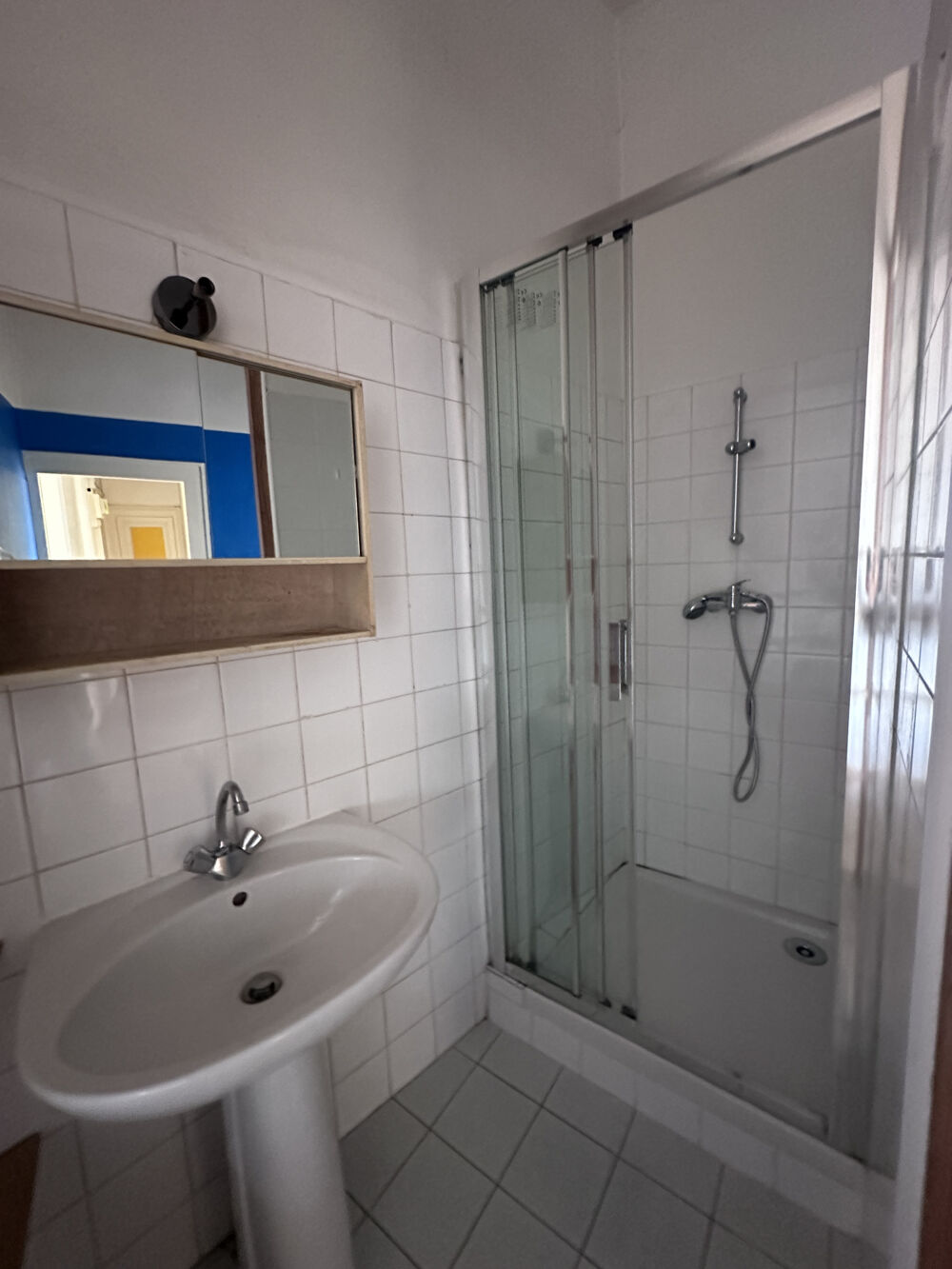 Location Appartement lyon 9e local professionnel , bureaux Lyon 9
