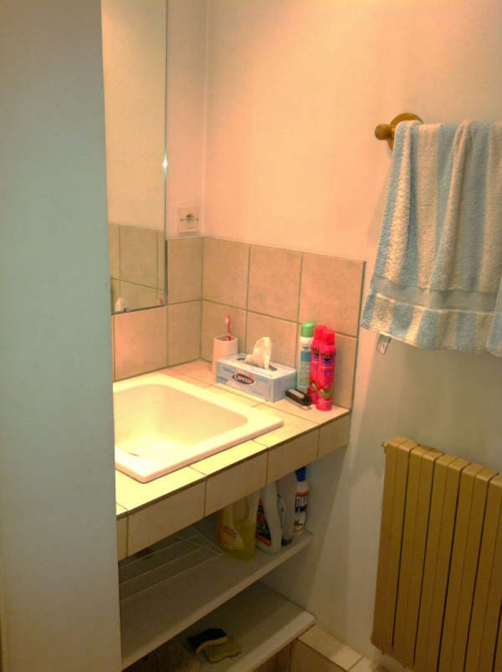 Location Appartement Studio MEUBLE Lyon 5ème / St Just Lyon 5