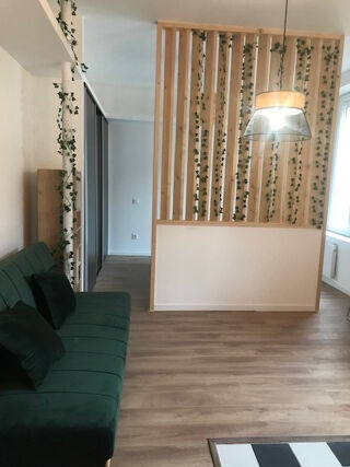  Loft à louer 1 pièce 29 m²