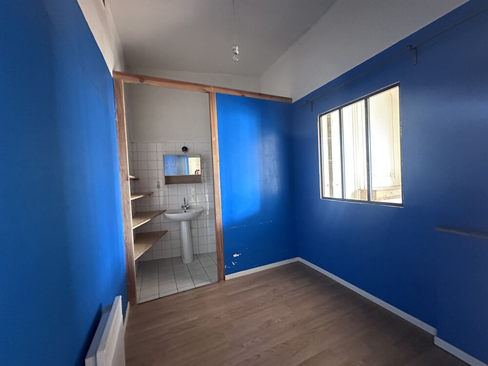 Location Appartement lyon 9e local professionnel , bureaux Lyon 9