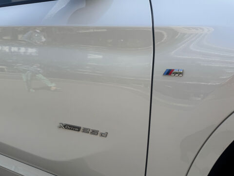 X1 xDrive 25d 231 ch BVA8 M Sport 2016 occasion 75017 Paris