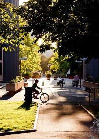  Appartement � louer 3 pi�ces 76 m�