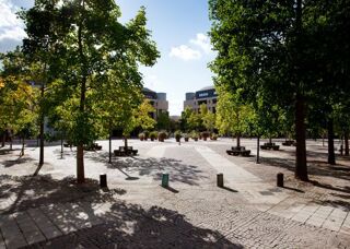  Appartement � louer 3 pi�ces 89 m�