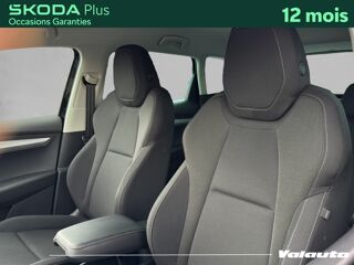 Karoq AMBITION 2.0 TDI 115 DSG 2024 occasion 59130 Lambersart
