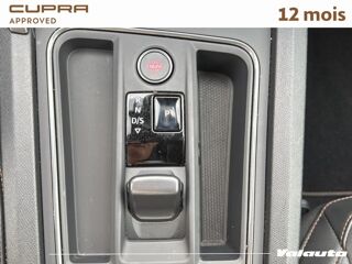 Formentor V E HYBRID 204 CH DSG6 2024 occasion 59223 Roncq
