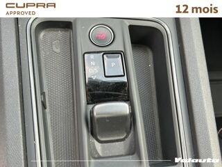 Formentor V 2.0 TDI 150 DSG7 4DRIVE 2022 occasion 62217 Beaurains