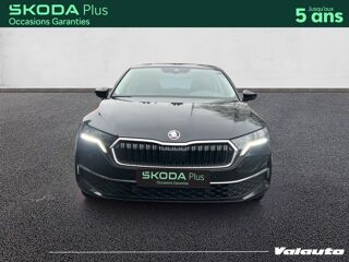 Octavia SELECTION 2.0 TDI 150 DSG7 2025 occasion 59130 Lambersart