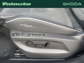 Peaq NOUVEAU SPORTLINE 90 2026 occasion 59400 Cambrai
