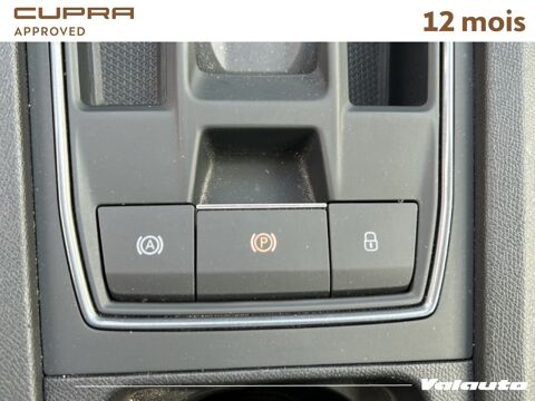 Formentor V 2.0 TDI 150 DSG7 4DRIVE 2022 occasion 62217 Beaurains