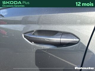 Octavia SELECTION 2.0 TDI 150 DSG7 2025 occasion 59860 Bruay-sur-l'Escaut