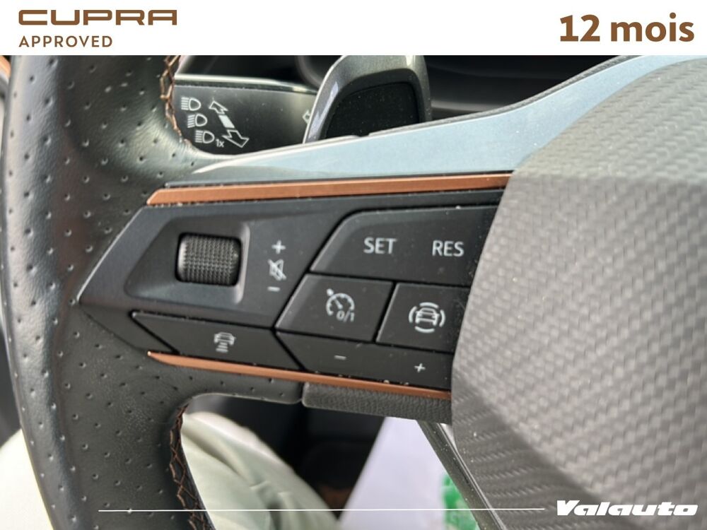 Formentor V 2.0 TDI 150 DSG7 4DRIVE 2022 occasion 62217 Beaurains