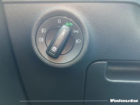 Karoq AMBITION 2.0 TDI 116 SCR DSG7 2023 occasion 59130 Lambersart