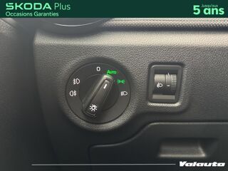 Fabia SELECTION 1.0 TSI EVO 2 116CH DSG7 2026 occasion 59223 Roncq